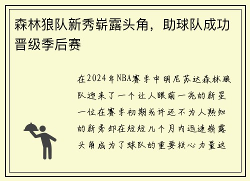 森林狼队新秀崭露头角，助球队成功晋级季后赛